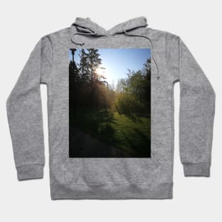 Misty Park Morning Hoodie